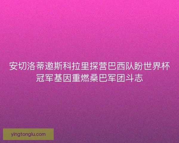 安切洛蒂邀斯科拉里探营巴西队盼世界杯冠军基因重燃桑巴军团斗志 安切洛蒂邀斯科拉里探营巴西队盼世界杯冠军基因重燃桑巴军团斗志